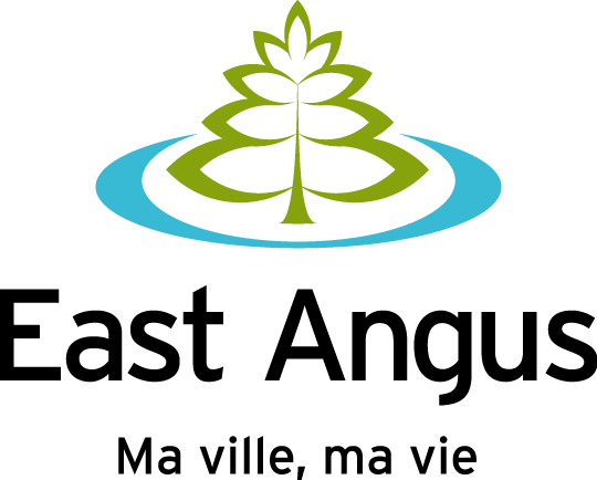 borne rechargeable voiture electrique